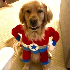 Meet your Posher, Gabriella